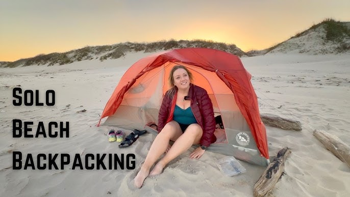 Water and vegetation at Laguna Madre