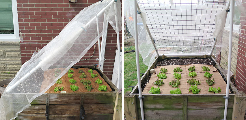 A hand sprinkling vermicompost on top of seed starting mix in an eggshell seed starting container.