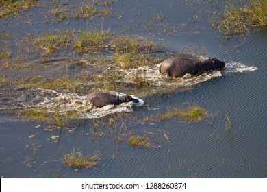 An aerial view of the Makgadikgadi Pans in the dry season, showcasing the vast, cracked salt flats stretching to the horizon under a hazy sky. The landscape appears barren and otherworldly.