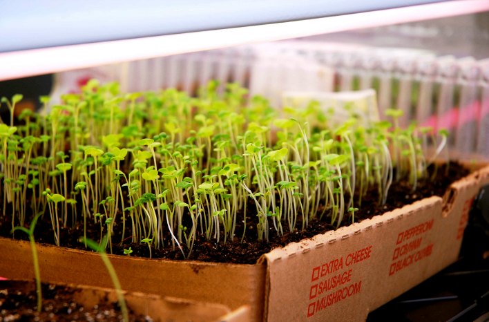 Preparing Your Garden for Winter: A Guide for H...