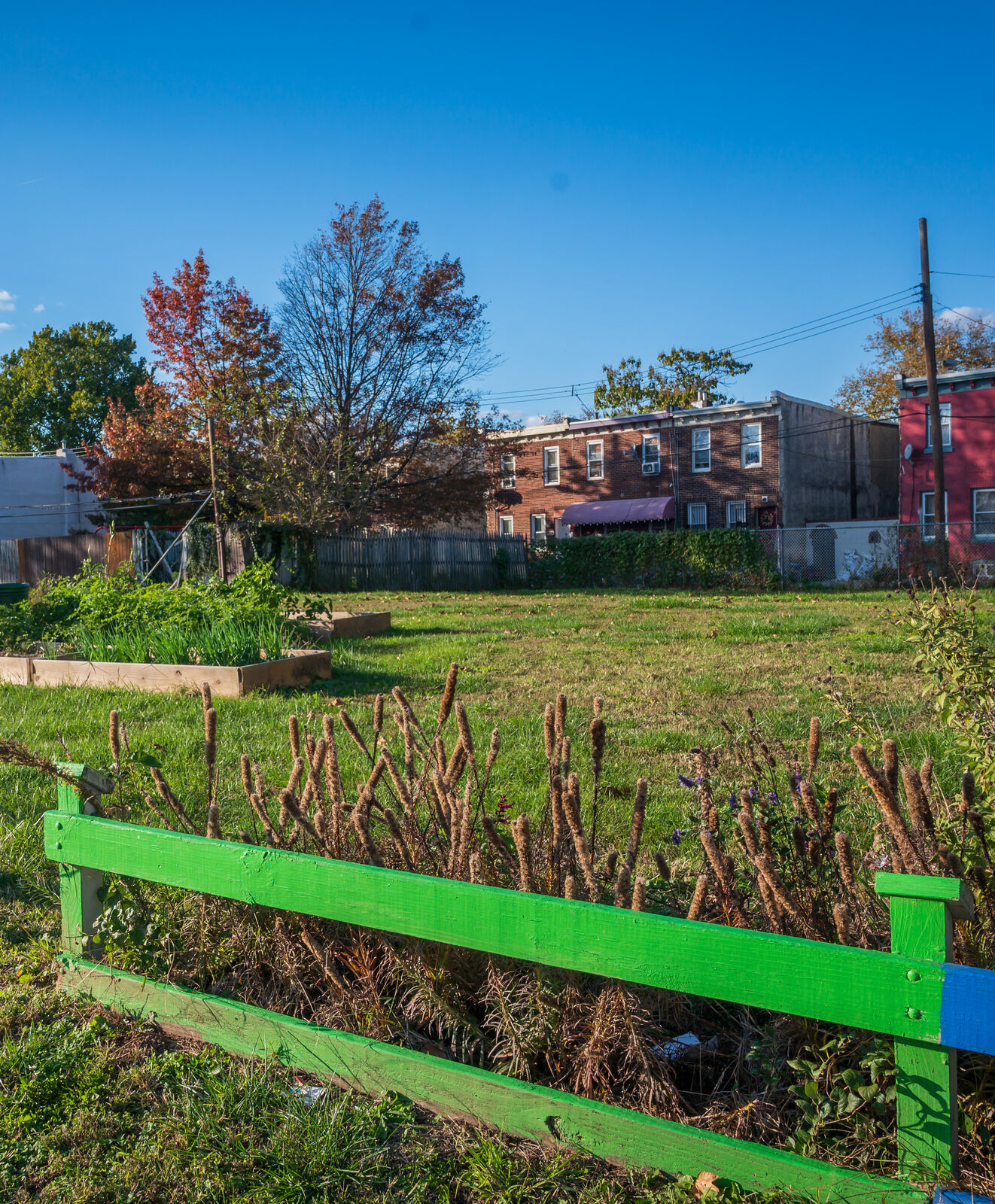 diverse group people harvesting urban farm