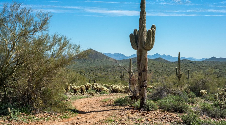 Wadi Rum geography and geology