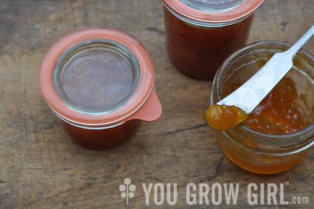 Plum Vanilla Jam