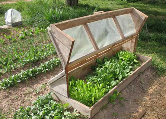 A sturdy and aesthetically pleasing Amish-style cold frame in a garden setting.