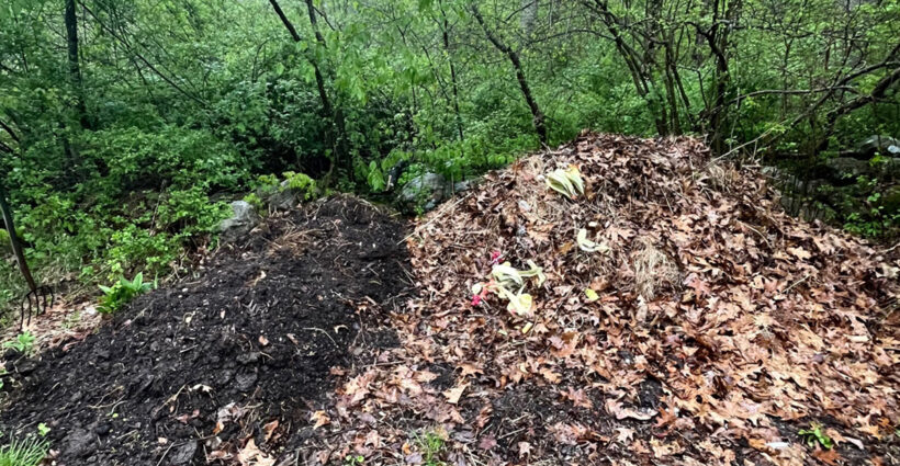 Compost Bin