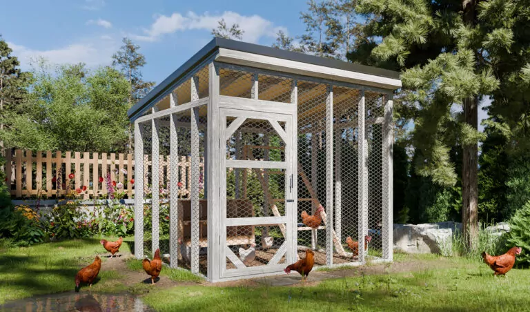A well-designed 8x10 chicken run with a walk-in design, perfect for easy access and cleaning.