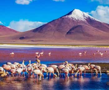 Exploring Salar de Uyuni