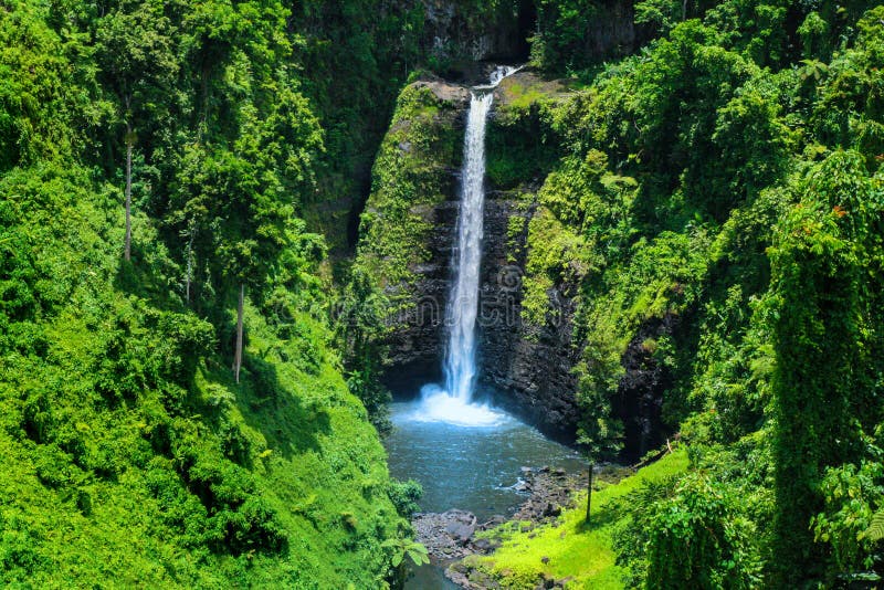 A stunning view of Sopoaga Falls cascading down into a lush tropical rainforest, vibrant birdlife visible amidst the trees