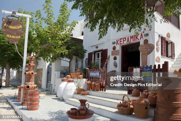 A woman in vibrant traditional dress performs the Kalbelia dance in Jodhpur, Rajasthan.