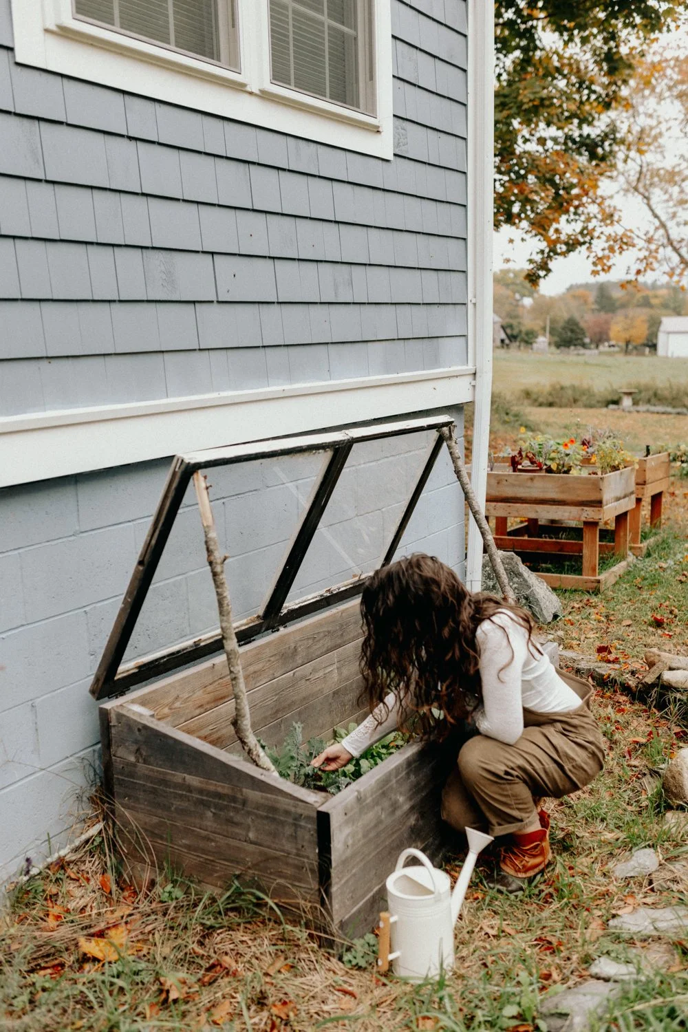 Unlocking Winter's Bounty: Simple Cold Frame Ga...