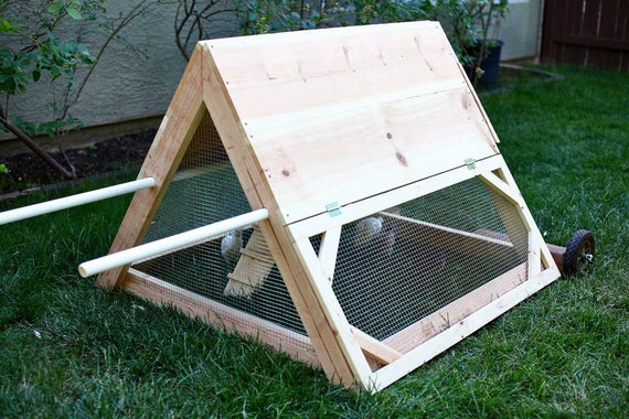 Chicken Tractor on Pasture