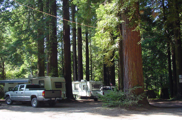 # Redwood National Park RV Camping: A Gay Couple's...