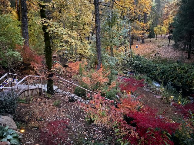 From Seed to Supper: A Beginner's Guide to Fall...