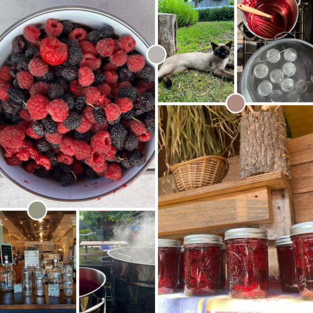 Canning Collage