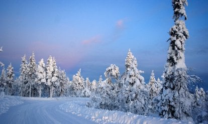 # Discover Ethical Winter Adventures: Immerse Your...