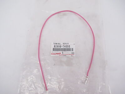 Priscilla repaired with pink duct tape in the golden hour light