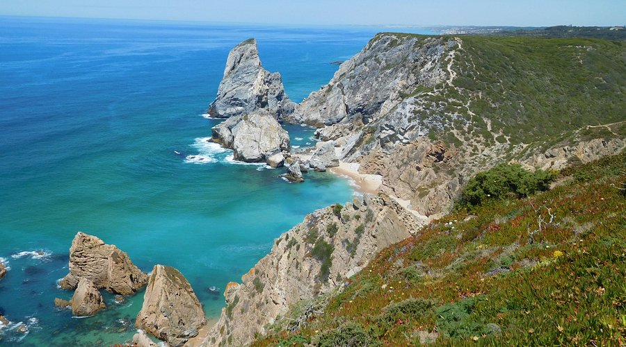 Close-up shot of a hand carefully placing a shell on a driftwood sculpture, illustrating the creative process of beachcombing.