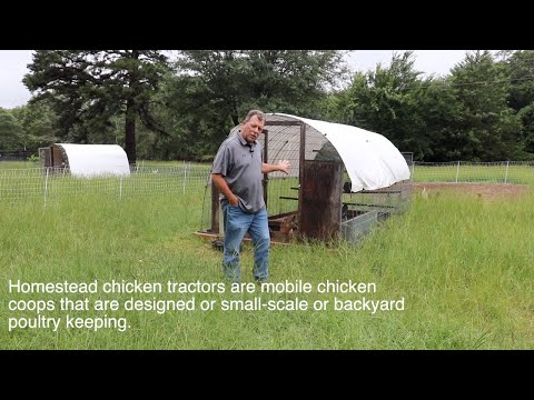 The chicken tractor with wheels allowing the chickens to graze on grass.