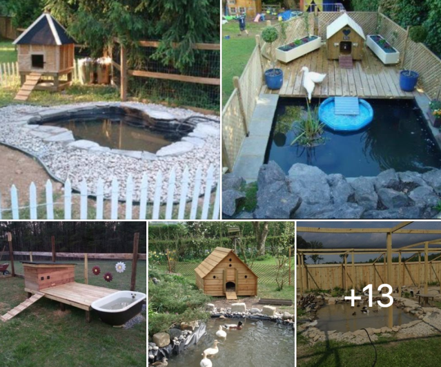 A home on a property with a duck house