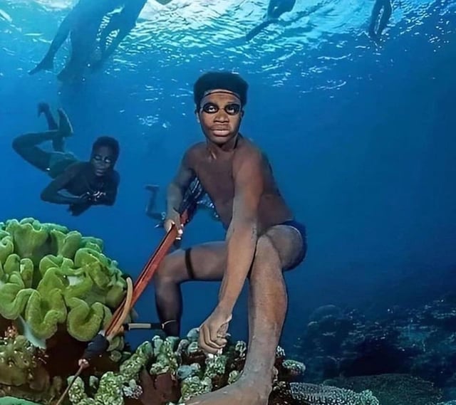 A Bajau fisherman free-diving underwater, showcasing their remarkable ability to hold their breath and navigate the ocean depths. The image highlights the unique lifestyle and skills of the Bajau people.