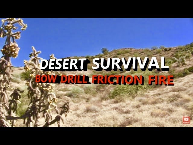 ## Thrive in the Sands: Mastering Desert Survival...