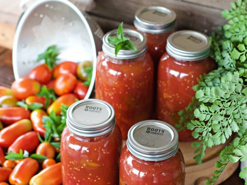 Autumn's Bounty: Transforming Your Overripe Toma...