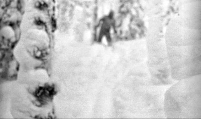 A collection of photos from the Dyatlov Pass Incident investigation