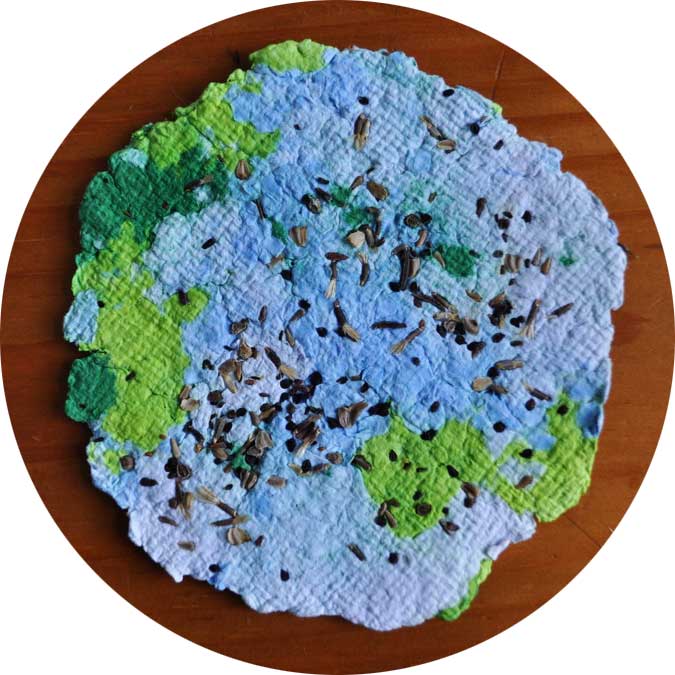 Collection of colorful recycled paper scraps, a small bowl of wildflower seeds, and a blender on a wooden table, natural light