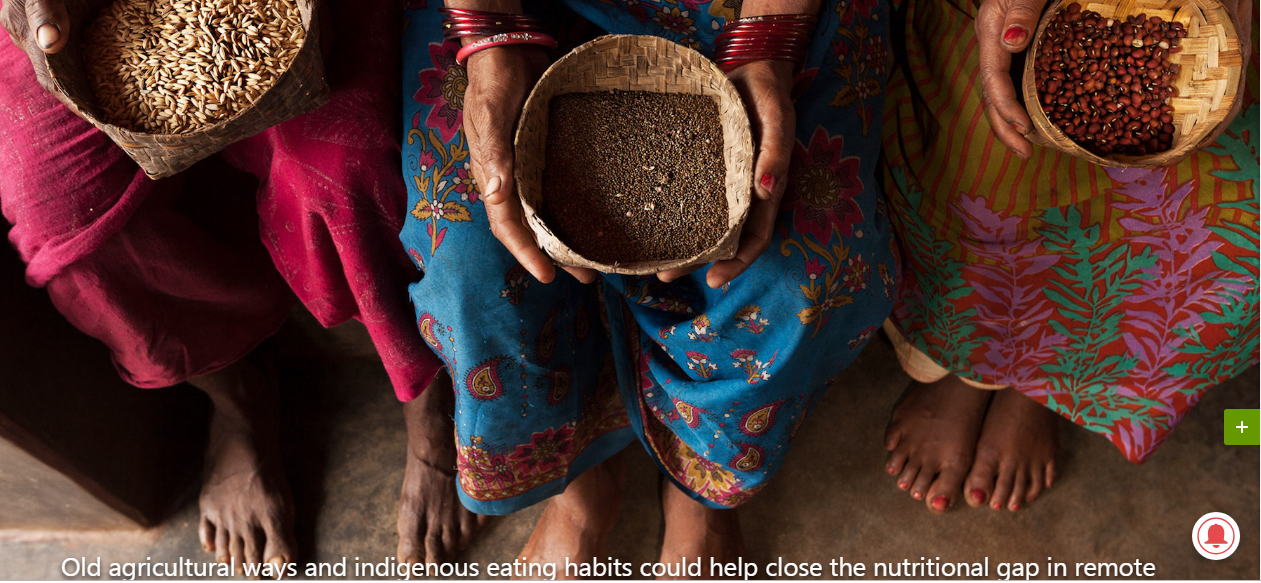 Revive Your Homestead: A Guide to Heirloom Seed...