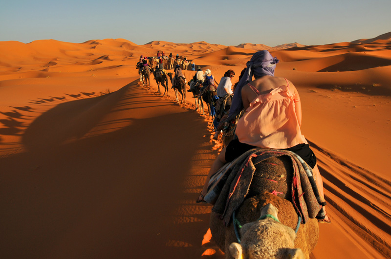 # Stargazing in the Sahara: A Digital Nomad's Berb...