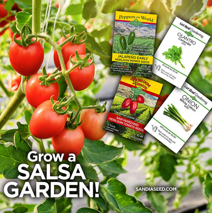Image of Sandiaseed Salsa Garden Kit