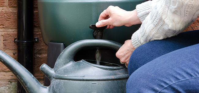 watering can