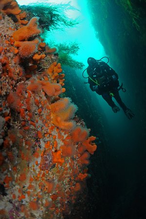 Lofoten Islands Canyon
