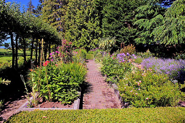 7 Easy Ways to Make Your Garden More Pollinator...