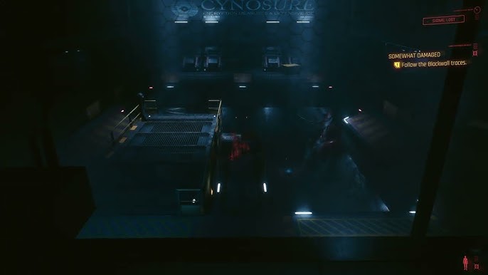 # XenGamer's Netrunner Guide to "Somewhat Damaged"...