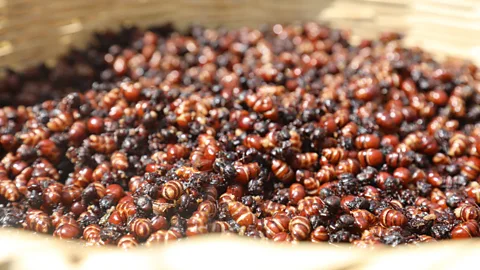 # Medellin, Colombia: An Unforgettable Journey Bey...