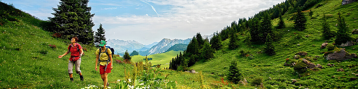 A luxurious spa in the Andes Mountains offers rejuvenation and relaxation.