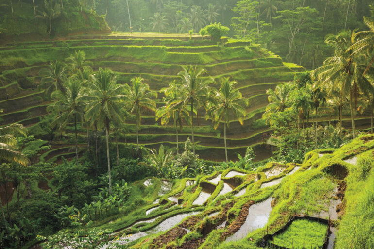## Waking Up to Paradise: My Unforgettable Stay at...