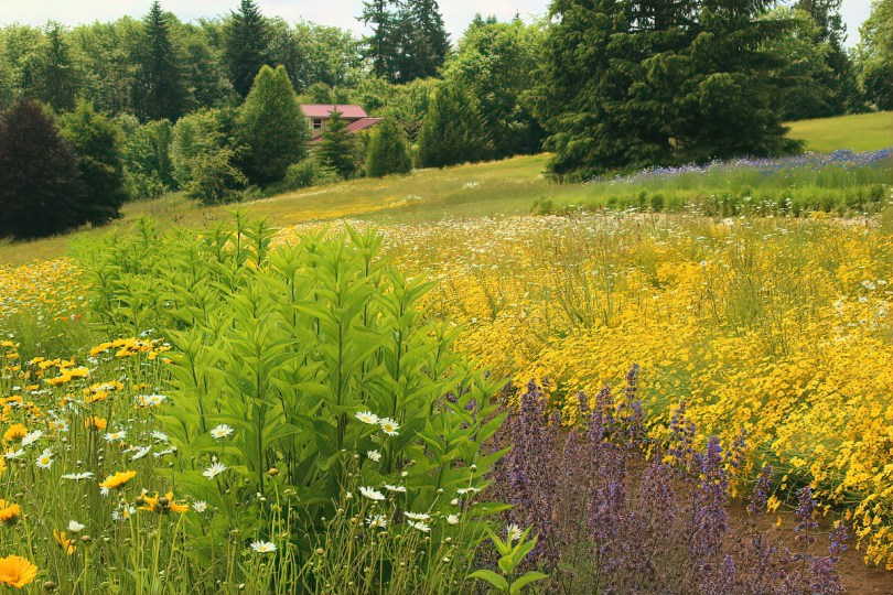 pollinator garden plant plan bloom times