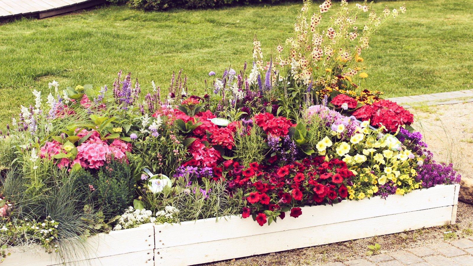Garden showcasing a variety of native flowering plants