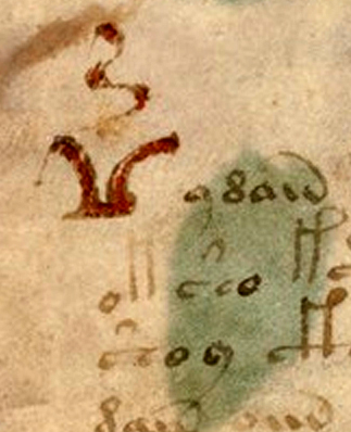 ## The Voynich Manuscript: Peering into the Abyss...