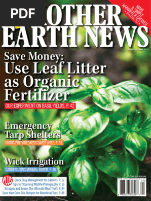 DIY Root Cellar: Fresh Food All Winter Long on...