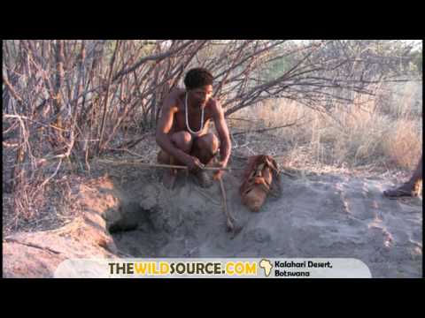 A San bushman demonstrating tracking techniques to a tourist