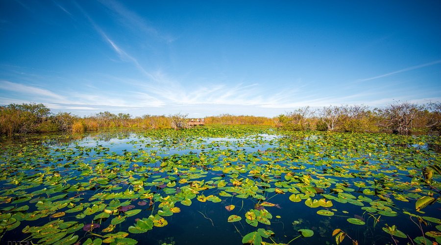 Maya and Sarah Canoeing
