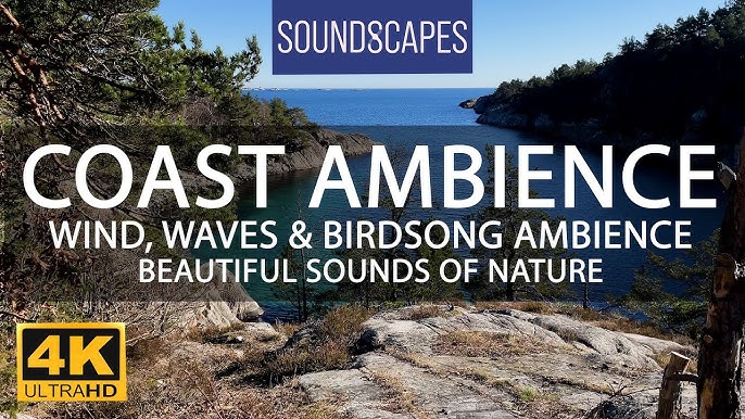 # Bioluminescent Beaches & Stargazing Paradises: W...