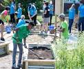Step-by-step building compost pile layered
