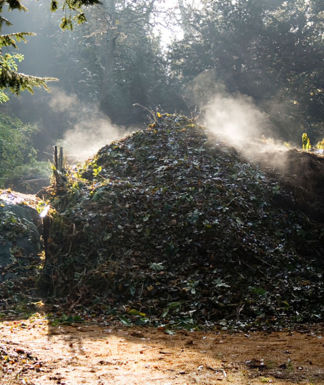 Composting Revolution: Transform Your Kitchen W...