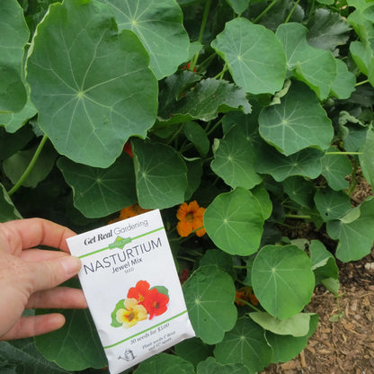 Encourage beneficial insects and use companion planting to help keep pests away