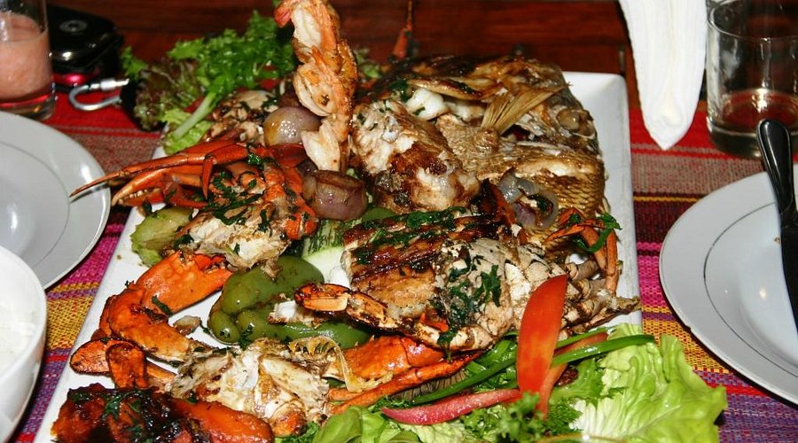 Contributing to whale shark research with the dedicated team at Madagascar Whale Shark Project.