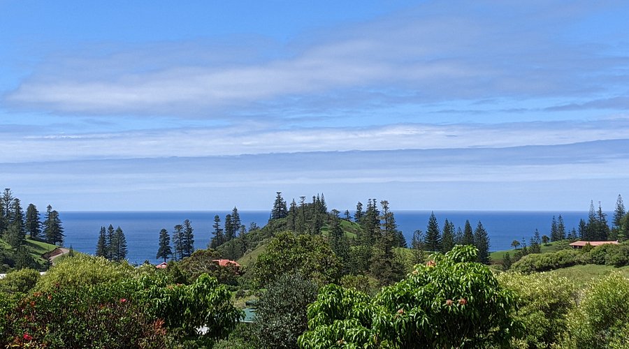 Volunteers planting coral fragments in the clear turquoise water of Waya Island. The image shows colorful coral in the background and focuses on the act of restoration.